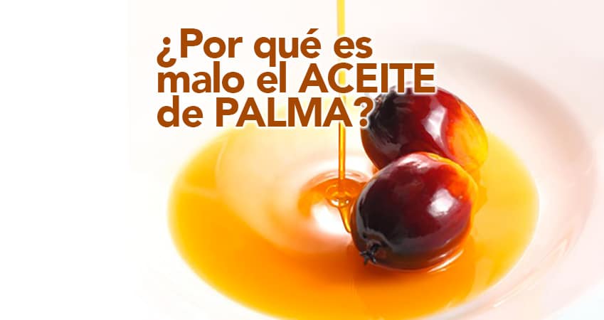 Por Qu Es Malo El Aceite De Palma Recetas De La Abuela