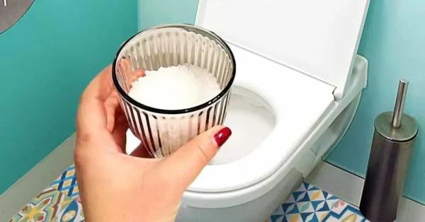 1 vaso de sal es suficiente para solucionar los 8 mayores problemas de la casa