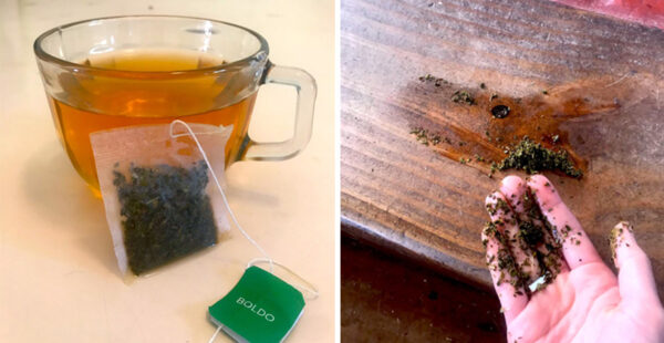 12 buenas razones para no tirar las BOLSITAS DE TÉ a la basura