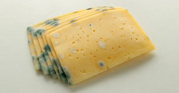 20 alimentos que puedes comer después de la fecha de caducidad