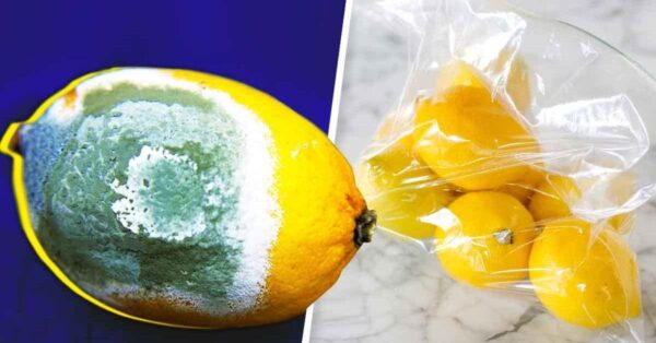 4 formas diferentes de conservar los limones durante más tiempo sin riesgo de que se enmohezcan.
