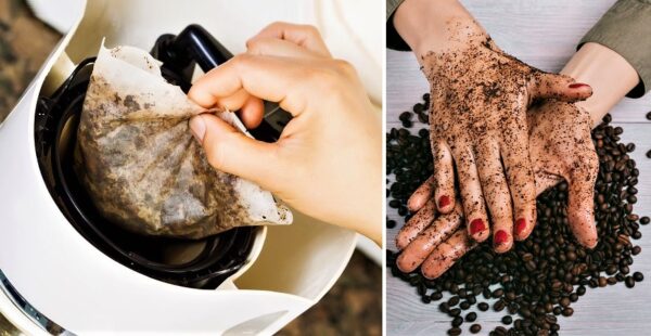 4 razones para no tirar el café molido a la basura y reutilizarlo