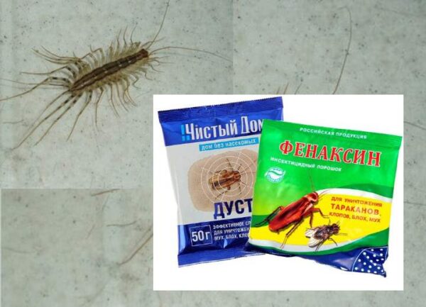 4 remedios para mantener alejado a Silverfish