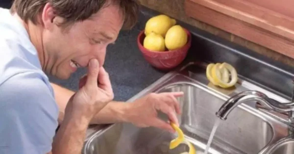 4 soluciones para eliminar el “olor a cañería” del desagüe del fregadero