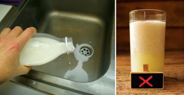 5 formas de identificar la leche en mal estado