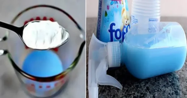 5 recetas naturales para hacer un ambientador casero