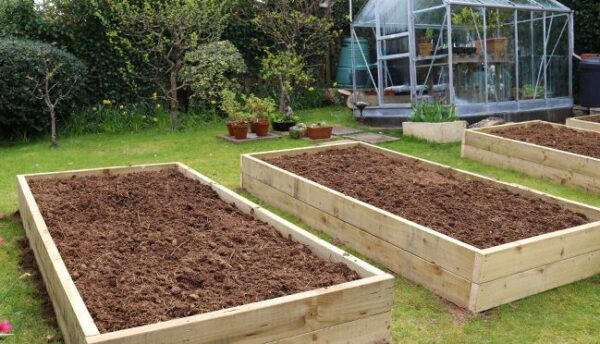 7 consejos para preparar tu huerto para el invierno