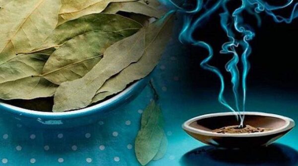 7 cosas que suceden cuando quemas una hoja de laurel en casa