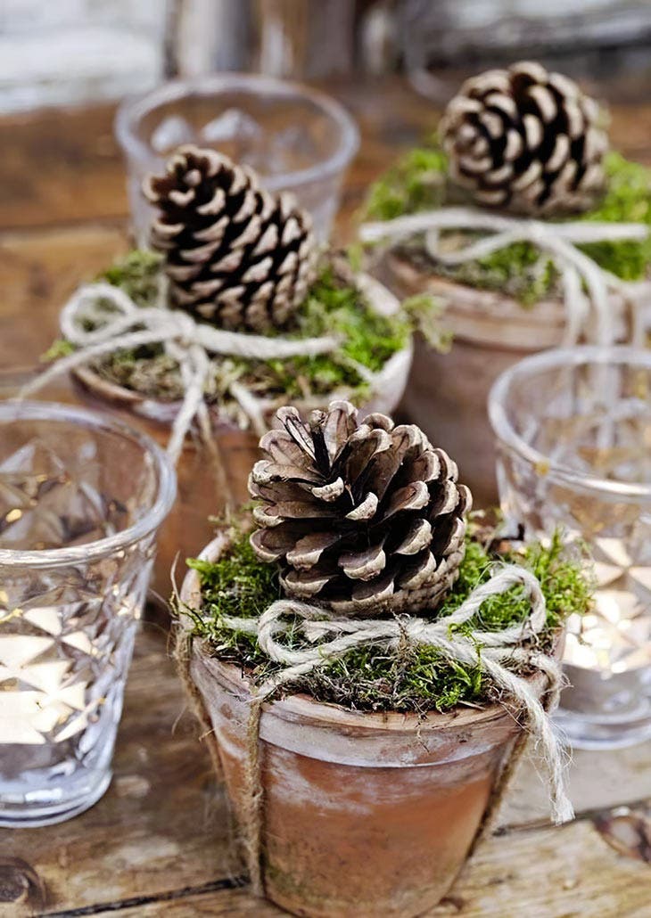 Macetas de terracota