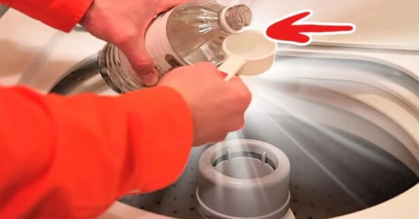 7 razones esenciales para usar vinagre blanco para lavar la ropa