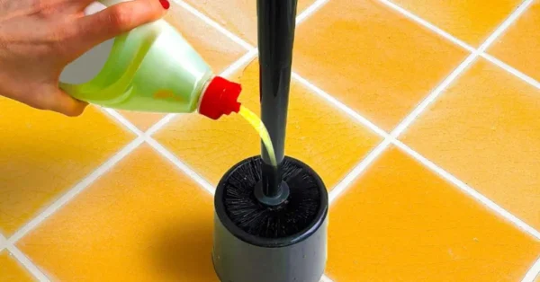 8 consejos para eliminar los malos olores del baño y dejar un agradable aroma