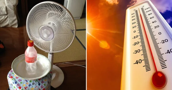 8 consejos para una casa fresca sin aire acondicionado