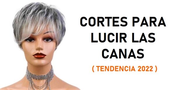 8 cortes de pelo para mujeres que aman sus canas