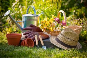 8 herramientas esenciales para el jardinero novato