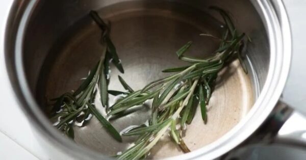 9 razones para usar romero todos los días (y cómo prepararlo)