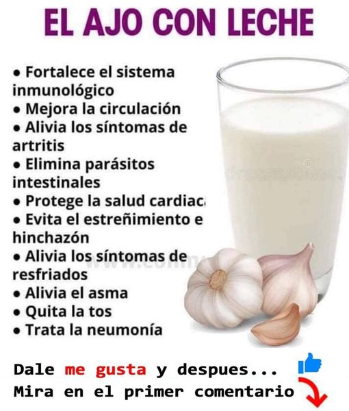 AJO EN LA LECHE