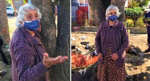 Abuela 80 años abraza un árbol para que no lo tiren abajo