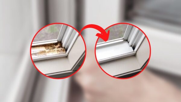 Accesorios sucios, cómo quitar el moho: aquí está el remedio natural