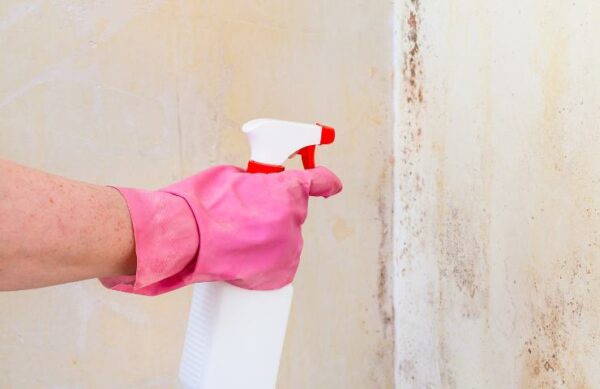 Adiós a las manchas en las paredes gracias a este ingenioso remedio de la abuela