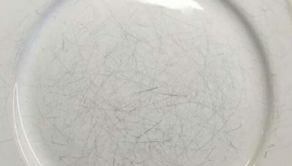 Adiós a las marcas negras en los platos blancos, cómo quitarlas y dejarlas nuevamente impecables