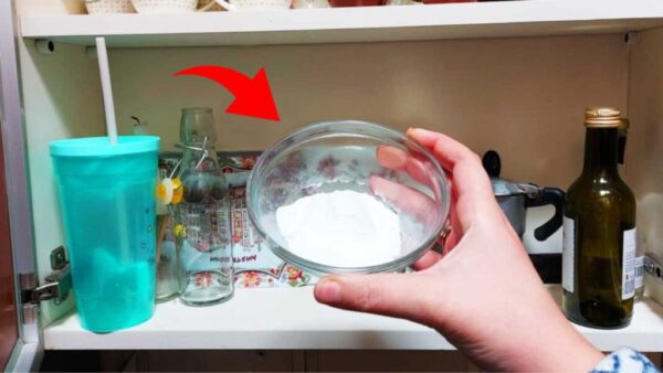 Adiós humedad en cajones y armarios, cómo solucionarlo en un santiamén