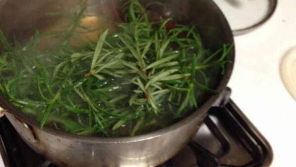 Agua de Romero para el cabello: beneficios y cómo prepararla