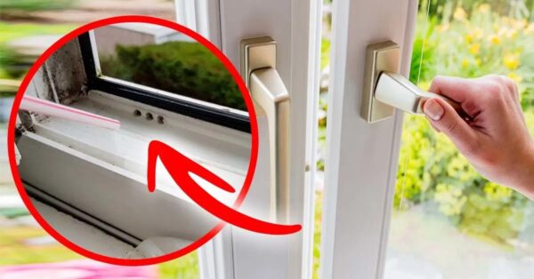 Agujeros de drenaje de ventanas: ¿por qué es necesario limpiarlos en octubre?