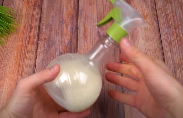 soluciones con limon