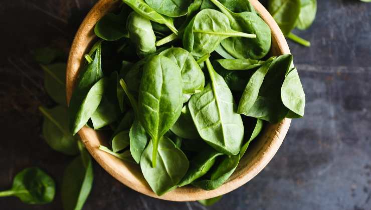 Riprodurre il basilico Reproducción de albahaca