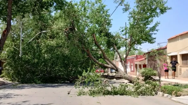 Alerta por tormentas y Zonda: estas son las zonas afectadas de Mendoza
