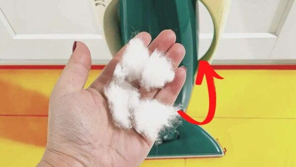 ¿Alguna vez has probado a poner algodón en la aspiradora? Te soluciona un problema muy común