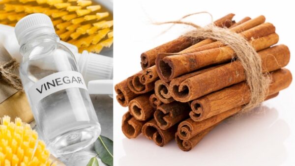 Aquí hay un antiguo ritual de vinagre y canela para ahuyentar esas vibraciones dañinas.