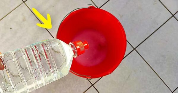 Aquí le mostramos cómo hacer que los pisos más apagados brillen con un truco genial