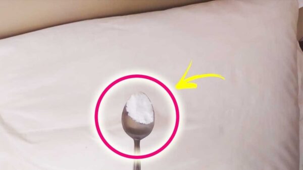 Aquí se explica cómo eliminar permanentemente las manchas de sudor de las fundas de almohadas.