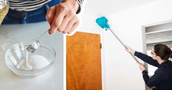 Aquí se explica cómo eliminar todas las manchas de la pared y dejar todo limpio en poco tiempo.