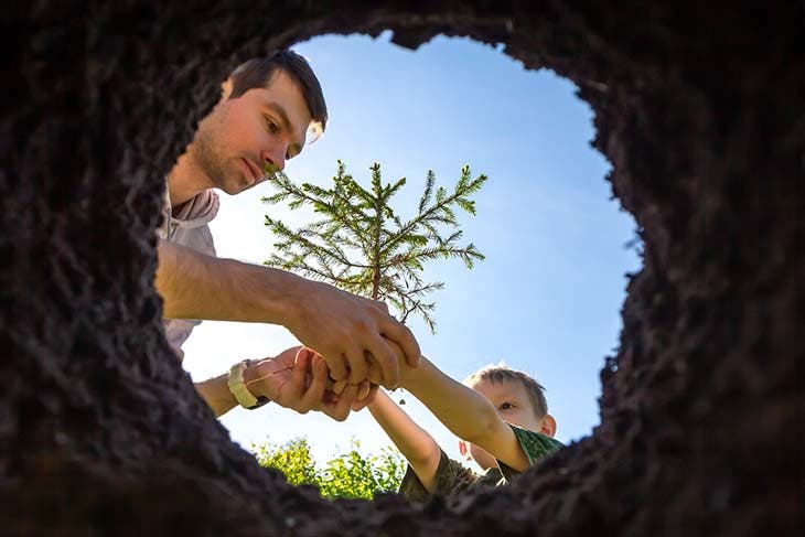 Aquí se explica cómo plantar correctamente un árbol frutal 5 implantación