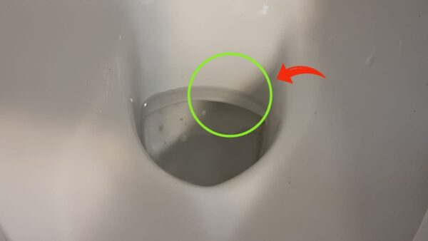 Aquí te explicamos cómo eliminar ese feo y molesto anillo de cal que se forma en el inodoro.