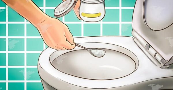 Aquí tienes un truco para que tu inodoro siempre huela bien