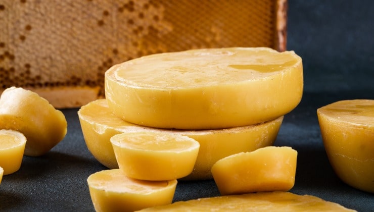 Bloques de cera de abejas