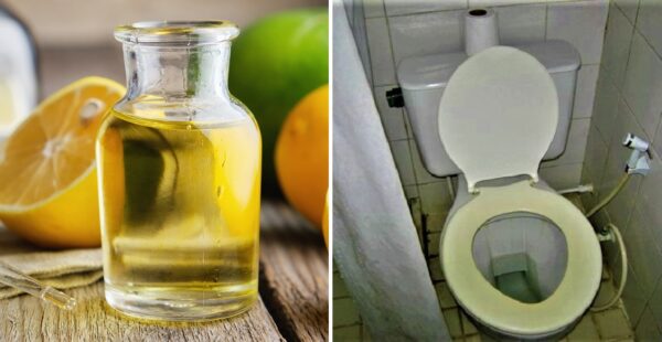 Aromatizante casero para eliminar el olor a orina de tu baño
