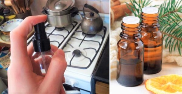 Aromatizante casero para quitar los malos olores de la cocina