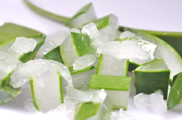 Así es como y por qué necesitas congelar el aloe vera