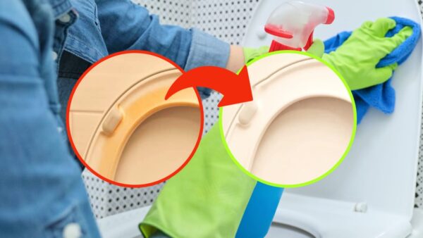 Asiento de inodoro, viejo y amarillento: aquí se explica cómo volver a dejarlo blanco como antes