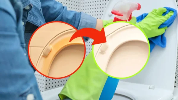 Asiento de inodoro, viejo y amarillento: aquí se explica cómo volver a dejarlo blanco como antes