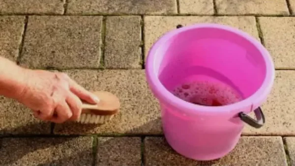 Baldosas de jardín, cómo limpiarlas a la perfección: no encontrarás ni una mala hierba