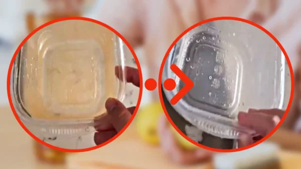 Bandejas de plástico amarillentas, el método infalible para desengrasarlas en apenas unos segundos