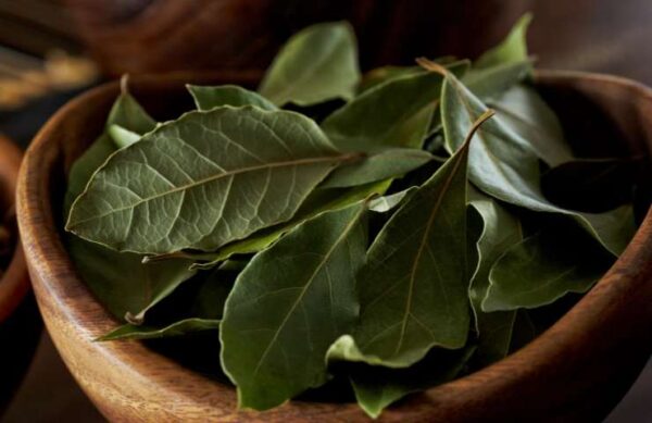 Basta con poner unas hojas de laurel debajo de la almohada: lo que pasa es impresionante