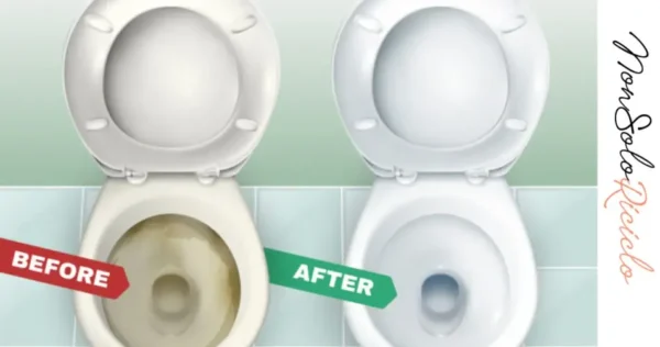 Blanquear un inodoro amarillento: ¡4 remedios caseros potentes y económicos!