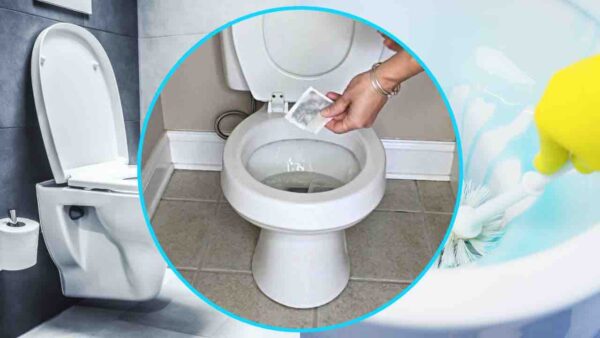 Bolsita de té en el inodoro, tírela todas las noches antes de acostarse: sucede lo impensable