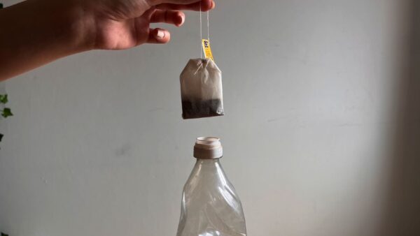 Bolsita de té, verterla en vinagre: es la solución a un problema muy extendido en el hogar